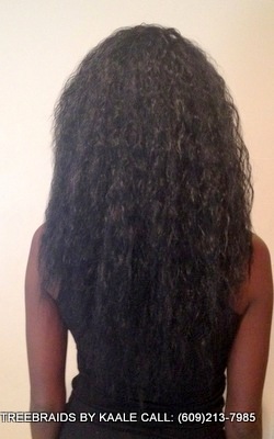 Treebraids 2.