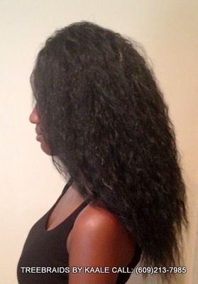 Treebraids 2.