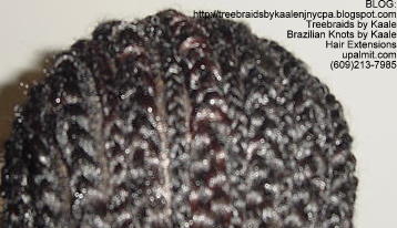 Treebraids by Kaale- Cornrows, Back10.