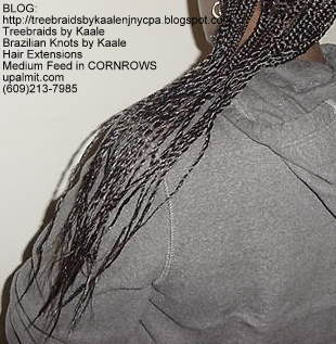 Treebraids by Kaale- Cornrows, BackTails10.