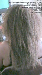 Tree Braids by Kaale- kinky curly treebraids NBack.