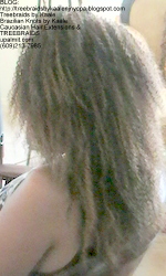 Tree Braids by Kaale- kinky curly treebraids NLeft.