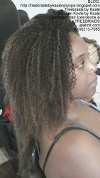 Tree Braids by Kaale- kinky curly treebraids NRight