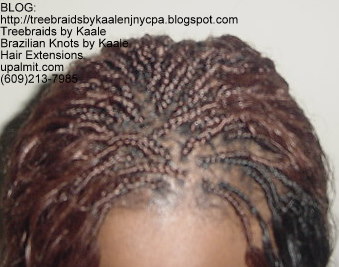 Microbraids- Top.
