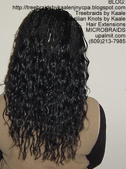 Microbraids- Back.