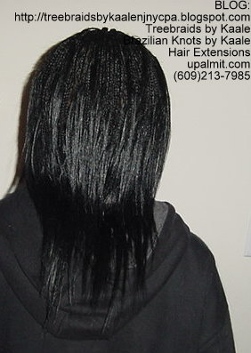 Microbraids, also spelled Micro Braids- Back.