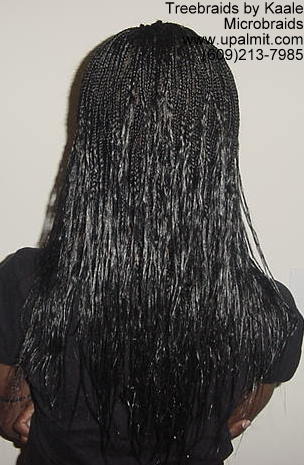 Microbraids, Back18.