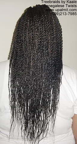Senegalese twists, Back view 20.