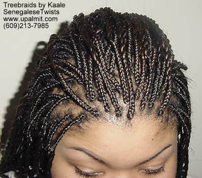 Senegalese twists, Top view 22.