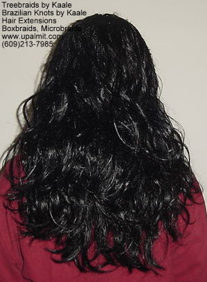 Box braid Carlos Bk.