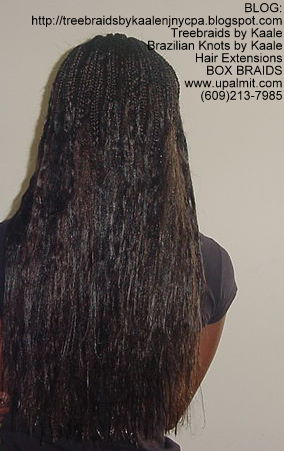 Long Box Braids- child in NJ, Back.
