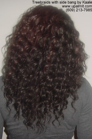 Treebraids- curly treebraids back view.