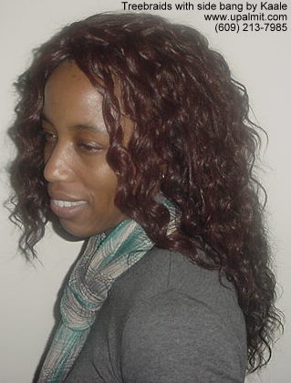 Treebraids- curly treebraids left side view.
