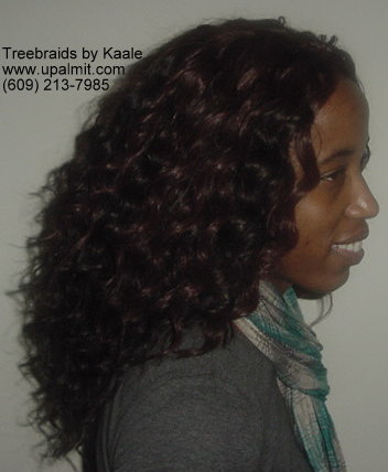 Treebraids- curly treebraids right side view.