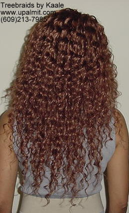 Wavy cornrow treebraids, Back109.