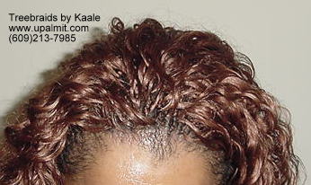 Wavy cornrow treebraids, Top109.