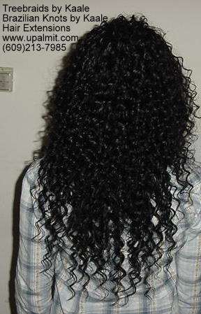 Wavy cornrow tree braids, Back 111.