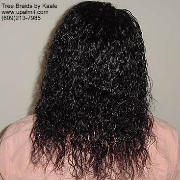 wet and wavy individual treebraids 2