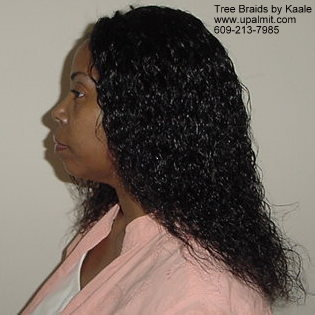 wet and wavy individual treebraids 3.