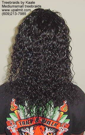 Tree Braids- Back 1.