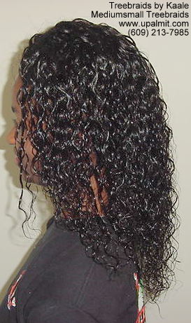 Tree Braids- Left view 2.