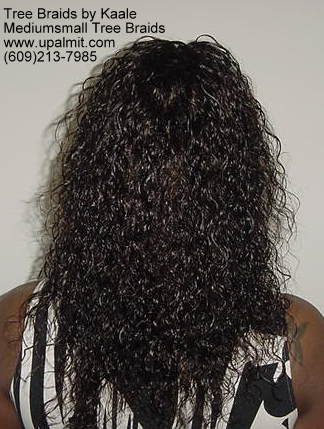 Summer, vacation, and beach wet and wavy tree braids.