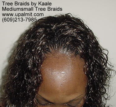 Summer, vacation, and beach wet and wavy tree braids.