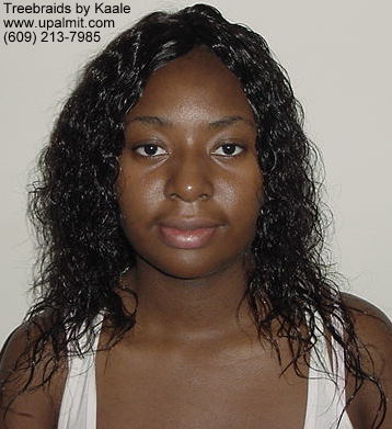 Wet and wavy treebraids with invisible part.