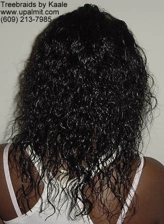 Wet and wavy treebraids with invisible part.