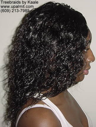 Wet and wavy treebraids with invisible part.