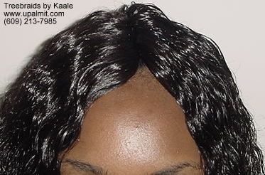 Wet and wavy treebraids with invisible part.