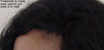 Wet and wavy treebraids with invisible part.