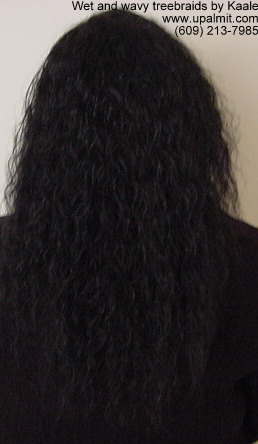 Wet and wavy treebraids with invisible part, back view.