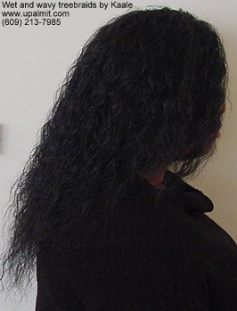 Wet and wavy treebraids with invisible part, right side.