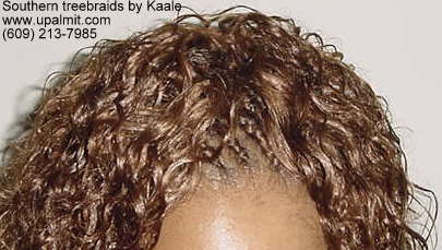 Wet and wavy treebraids.