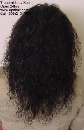 Treebraids with indian hair by Kaale, back view.