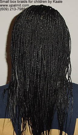 Box braids, small- children's box braids styles, back view.
