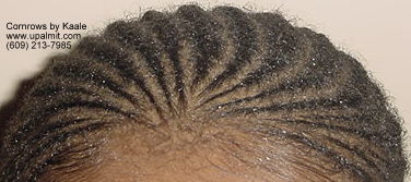 Cornrows braided in front with box braids in back, by Kaale.