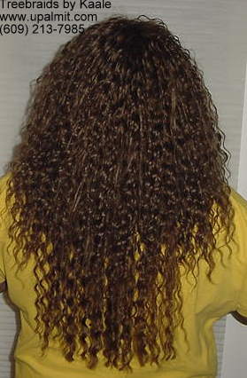 Treebraids- wavy treebraids, back.