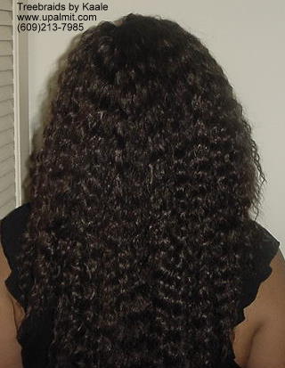 Wet and wavy treebraids with invisible part.