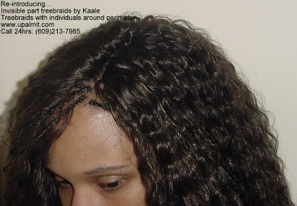 Wet and wavy treebraids with invisible part.