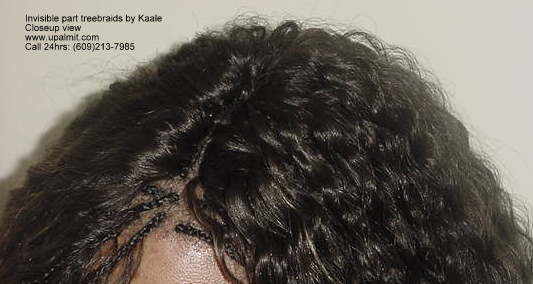 Wet and wavy treebraids with invisible part.