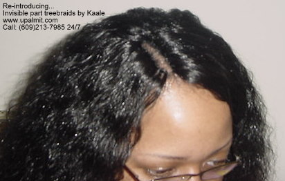 Wet and wavy treebraids with invisible part.