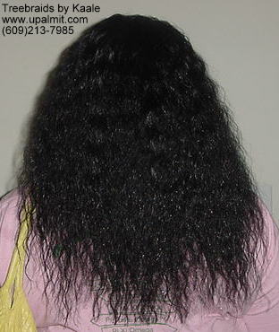 Wet and wavy treebraids with invisible part.