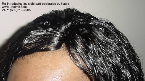Wet and wavy treebraids with invisible part.