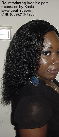 Wet and wavy treebraids with invisible part.