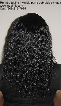 Wet and wavy treebraids with invisible part.