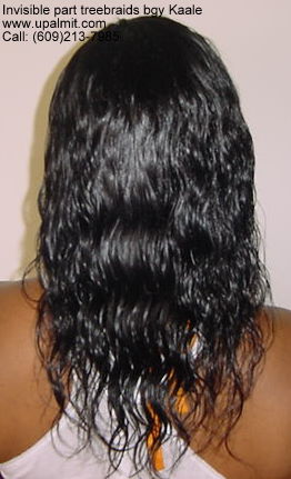 Wet and wavy treebraids with invisible part.
