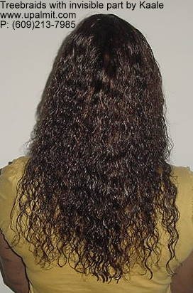 Wet and wavy treebraids with invisible part.
