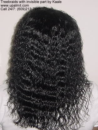 Wet and wavy treebraids with invisible part.